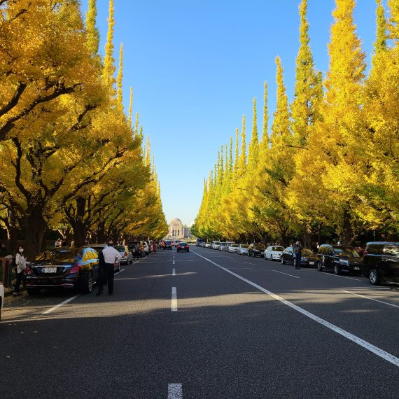 英子市川